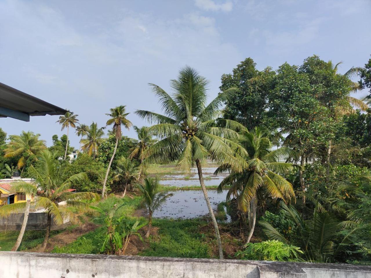 Paddy N Canal Homestay Alappuzha Exterior foto